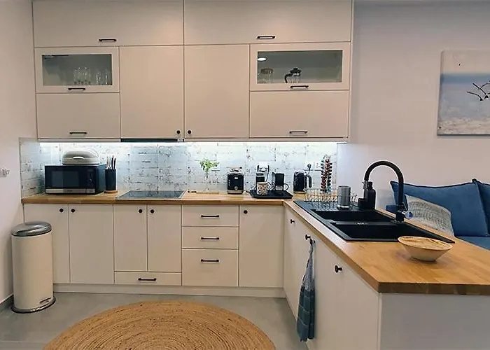 Meraki Beachfront 度假居 弗伊尼基昂